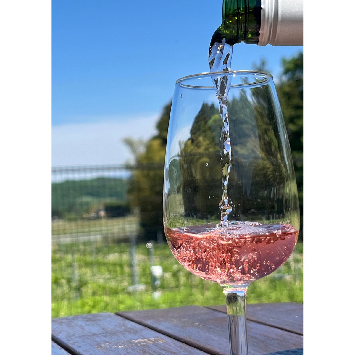 高尾 2023 | 日本ワインショップ「ふくしま逢瀬ワイナリー」公式サイト