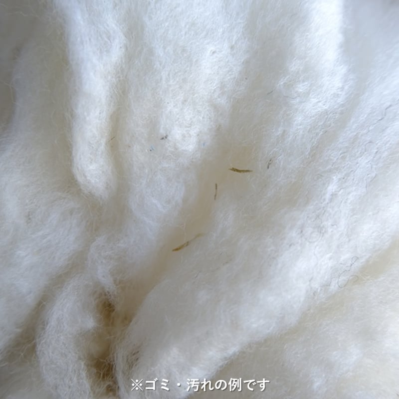 手洗い羊毛 長毛種 フライスランド系統（100g単位） | 阿蘇さとう農園