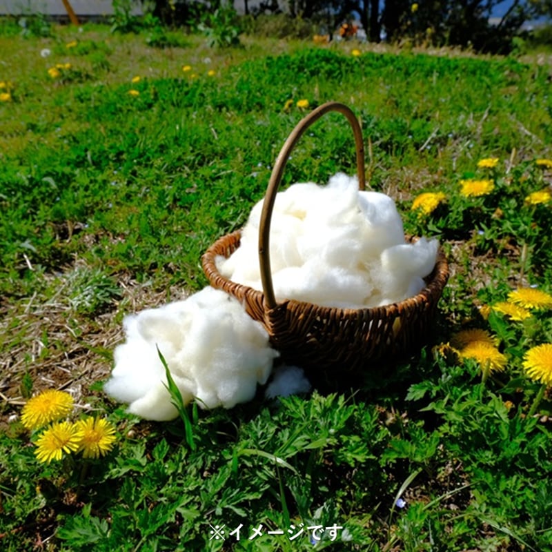 手洗い羊毛 長毛種 フライスランド系統（100g単位） | 阿蘇さとう農園