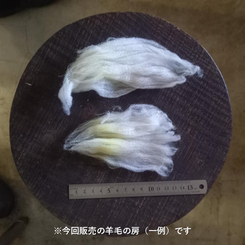 手洗い羊毛 長毛種 フライスランド系統（100g単位） | 阿蘇さとう農園