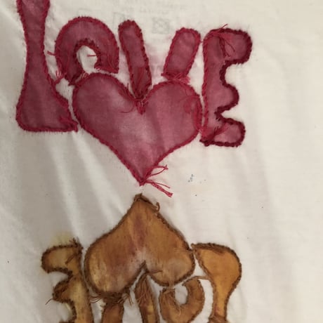 Love and bird