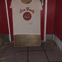 ブルームーンテイシヤツ