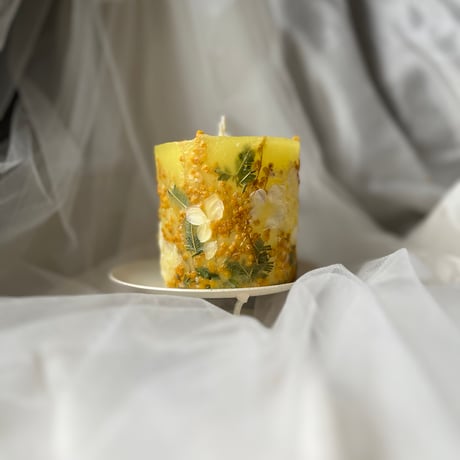 BOTANICAL  CANDLE ④