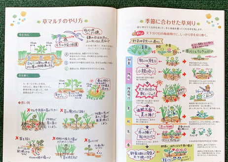 竹内孝功さんの「自然菜園ハンドブック」