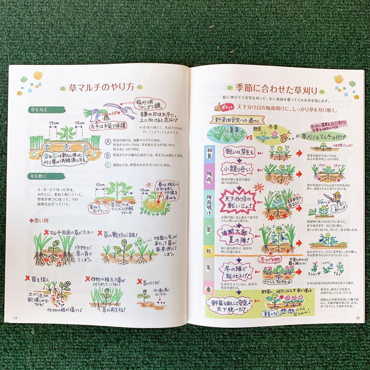 竹内孝功さんの「自然菜園ハンドブック」 | 自然菜園LifeStyle