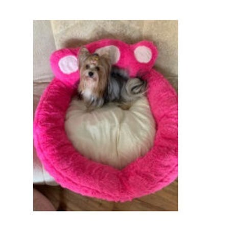 【Sサイズ】ペット 用品犬 猫 暖かい ベッド ハウス
