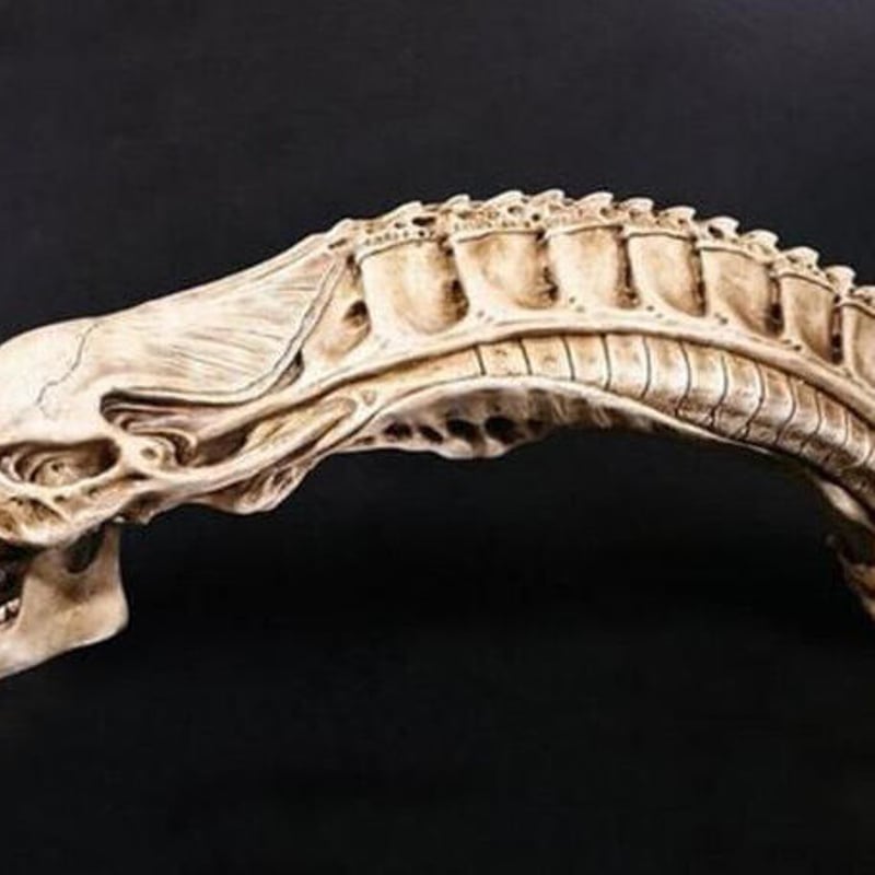 エイリアンスカル レプリカ AVP 手作業高品質品 50cm 特大 ビッグ