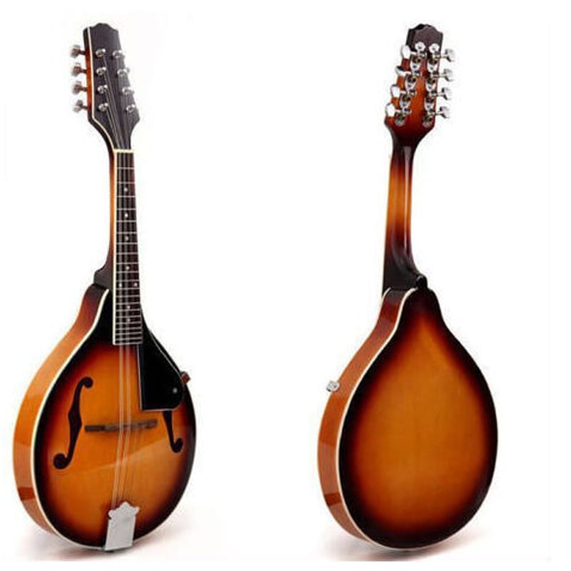 マンドリン 楽器 ローズウッド 8弦 36インチ 20フレット 特殊 | World