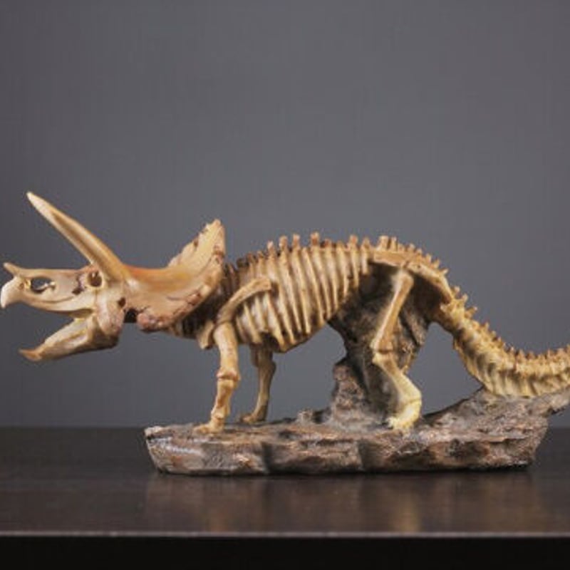 オブジェ】 置物 インテリア 化石 型 恐竜の骨 トリケラトプス ...