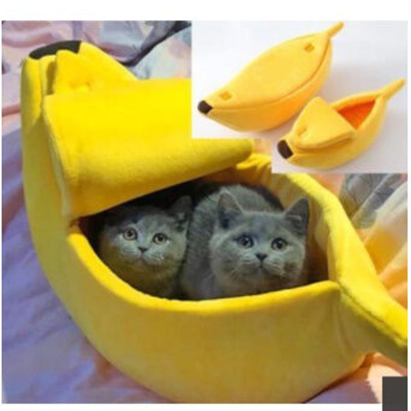 ペットの猫の巣フルーツバナナ