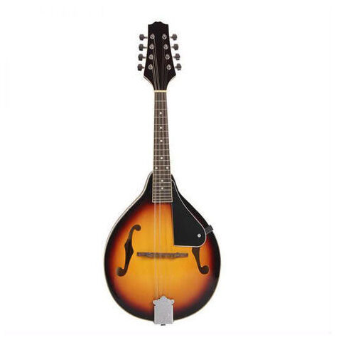 マンドリン 楽器 ローズウッド 8弦 36インチ 20フレット 特殊 | World