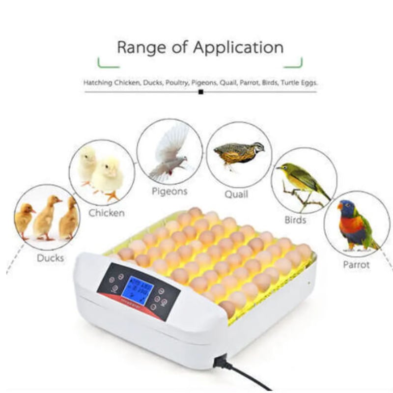 鳥のLED孵卵器 PSE認証 ふ卵器 孵化器 インキュベーター 最大56個 実験