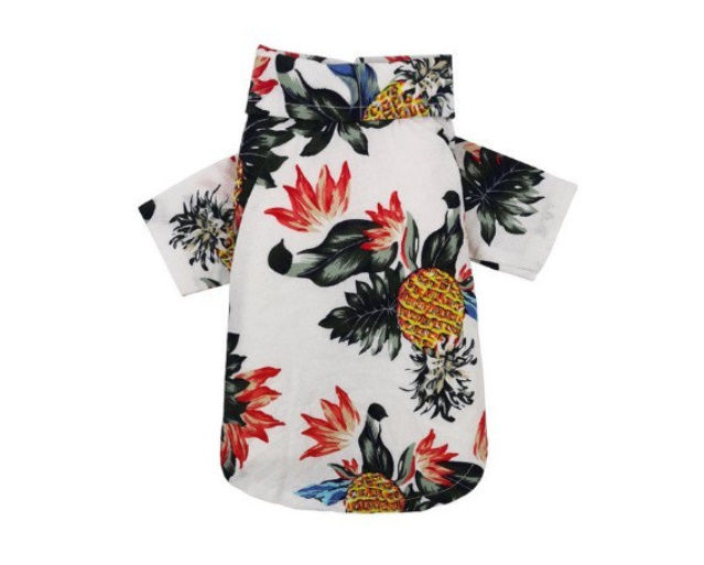 猫服 アロハシャツ | World Planet Market