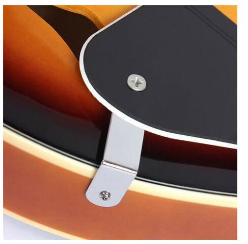 マンドリン 楽器 ローズウッド 8弦 36インチ 20フレット 特殊 | World