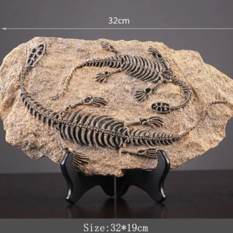 置物 化石 石 骨董品 2点 【公式通販】