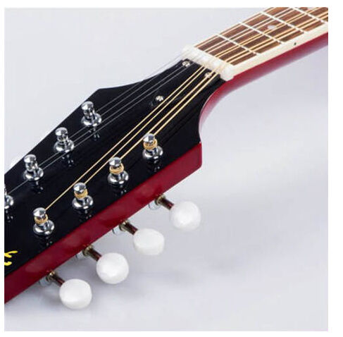 マンドリン 楽器 ローズウッド 8弦 36インチ 20フレット 特殊 | World