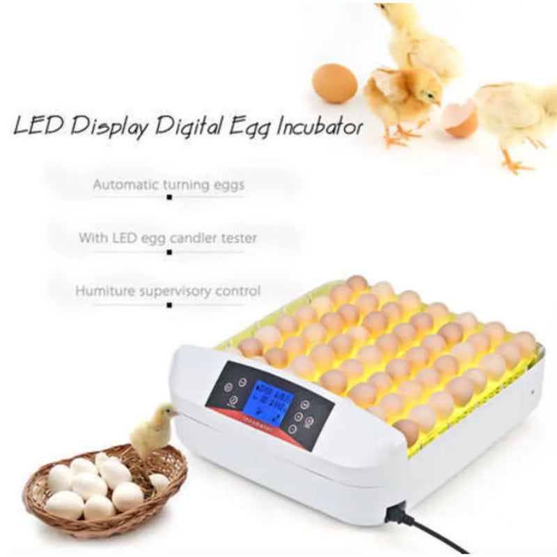 鳥のLED孵卵器 PSE認証 ふ卵器 孵化器 インキュベーター 最大56 鳥のLED孵卵器 PSE認証 ふ卵器 孵化器 インキュベーター 最大56