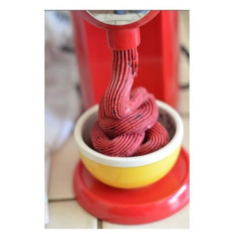 フルーツアイスクリームマシン 業務用 家庭用 自動冷凍フルーツ