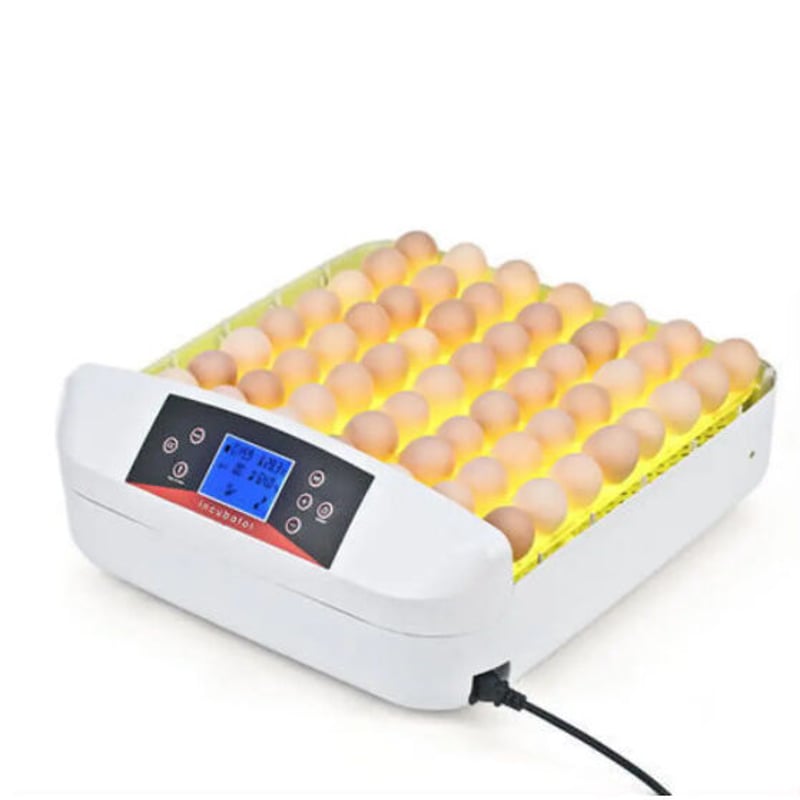鳥のLED孵卵器 PSE認証 ふ卵器 孵化器 インキュベーター 最大56 鳥のLED孵卵器 PSE認証 ふ卵器 孵化器 インキュベーター 最大56