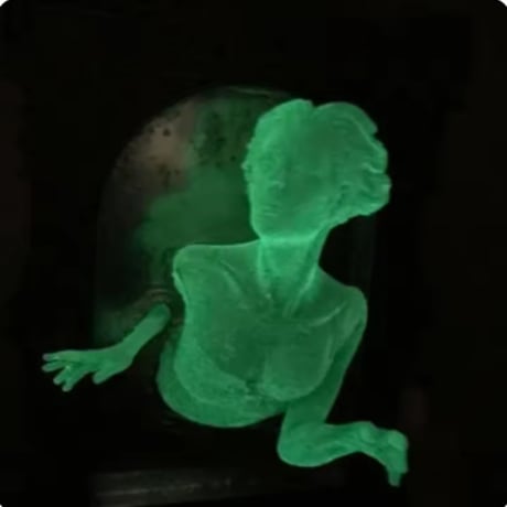 発光 ゴースト ステッカー ハロウィン 鏡の中の幽霊 お化け 幽霊 ゴシック ホラー インテリア 3D 寝室 リビング