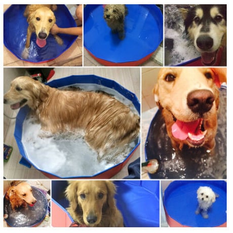 【犬プール】 ペット用 猫 子供用にも 折りたたみ式 お風呂 バスタブ 水遊び 水浴び 夏 持ち運び便利 60x20cm 清潔 暑い季節に 【簡単セッティング】