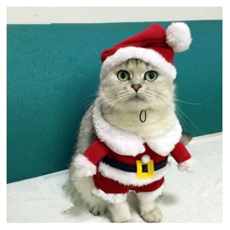 クリスマスの猫の服 冬のペットの服 猫の衣装 暖かい猫のコート サンタクロース ペットアパレル コスプレ