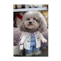 小さな犬の服 おもしろ かわいい 犬の衣装 チワワ マルチーズ ポメラニアン などの服 医者 ドクター コスプレ 衣装