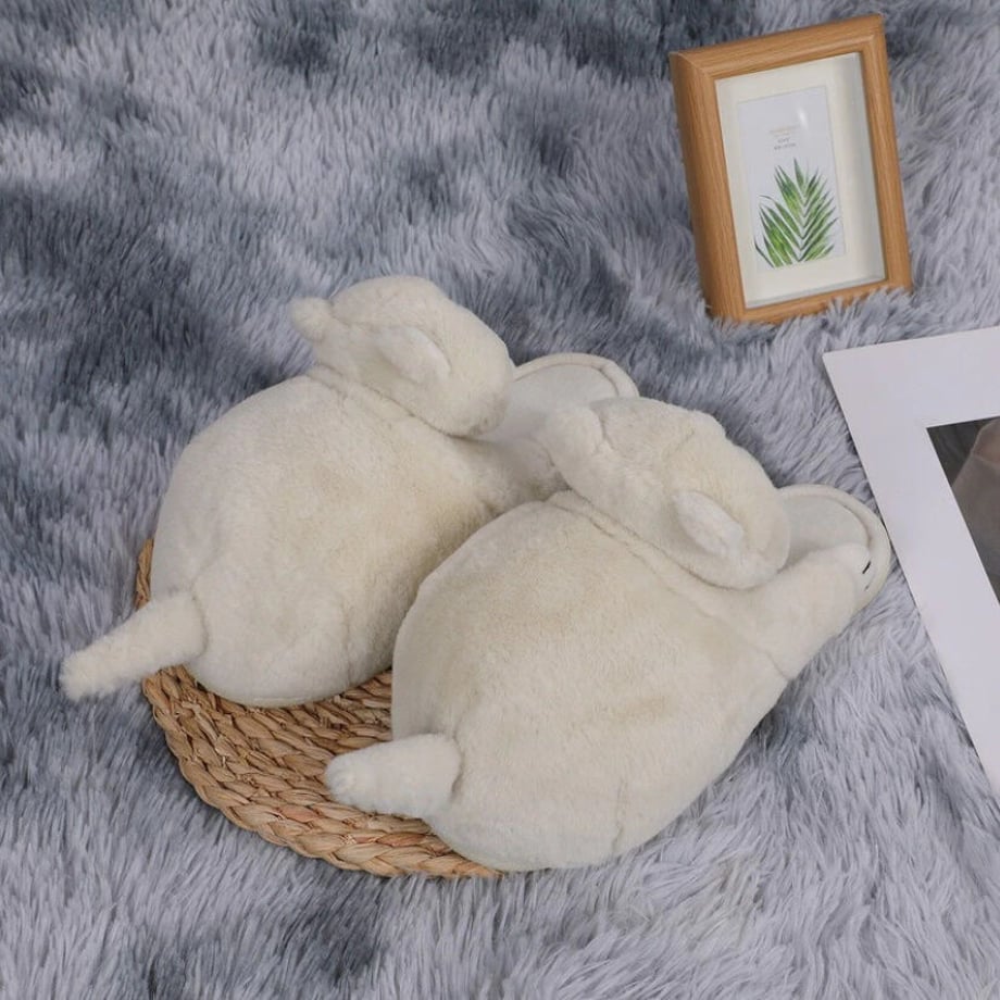 63aed72ac1f8c50b9bc93957