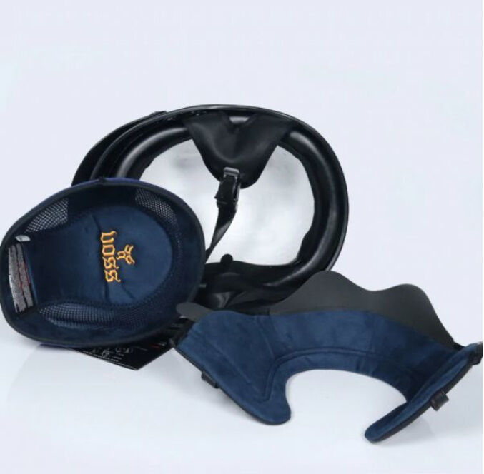 ペガサス デザイン バイク スクーター レンズバイザー 内蔵 ハーフ