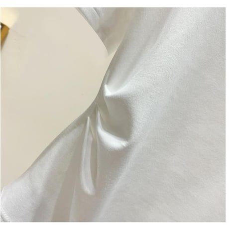 【2色展開】フリル 半袖 蝶 フリル系女子 甘すぎない ポイントフリル Ｔシャツ CP-454