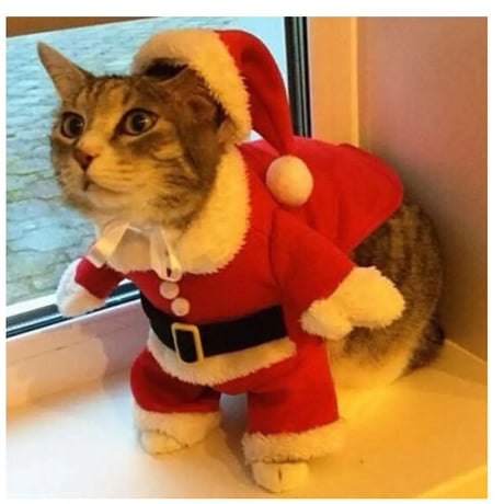 クリスマスの猫の服 冬のペットの服 猫の衣装 暖かい猫のコート サンタクロース ペットアパレル コスプレ