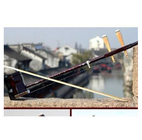 二胡 本体 初心者セット ケース ブック 弦 弓 中国 楽器 ロジン 木製