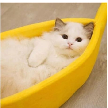 【Lサイズ】ペット 猫 犬  ベッド バナナ ベッドハウス