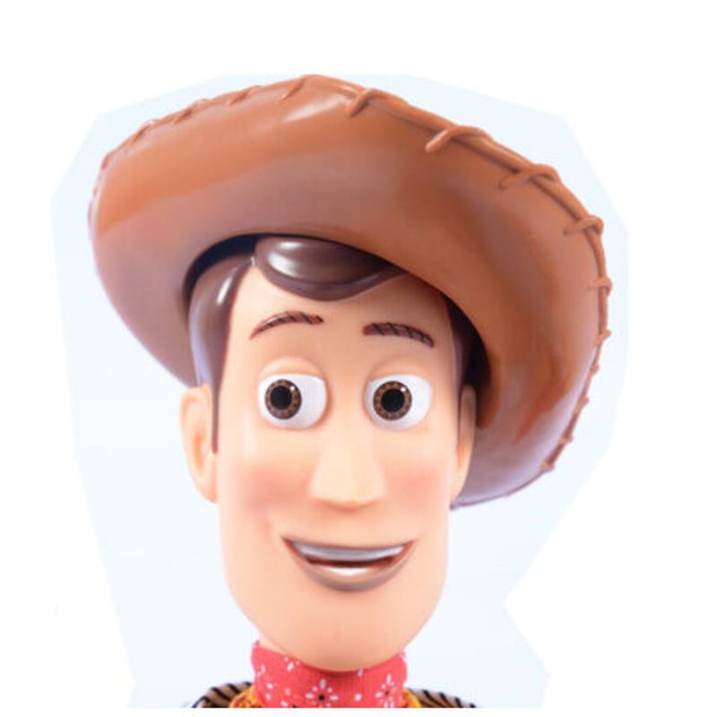 新品・未使用　トイ・ストーリー ウッディ 1オンス　銀貨　専用BOX付き Disney STORE TOY STORY（トイ・ストーリー） Buzz&Woody（バズ