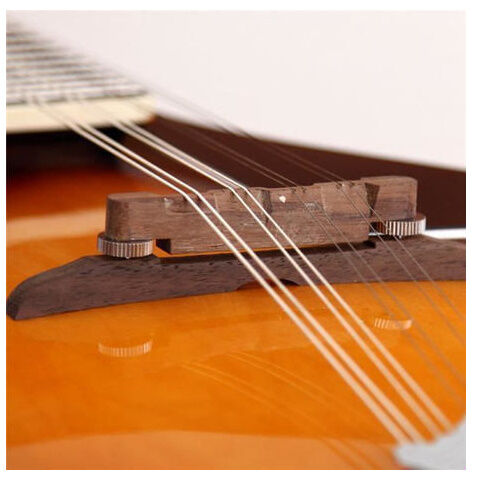 マンドリン 楽器 ローズウッド 8弦 36インチ 20フレット 特殊 | World