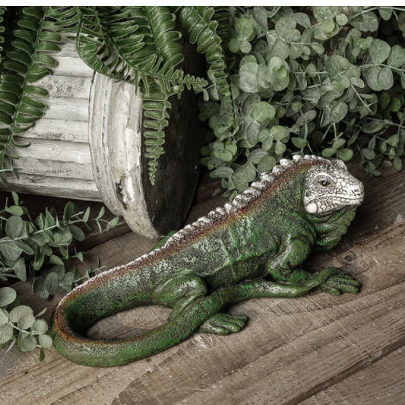 イグアナの置物 樹脂製 イグアナの置物 樹脂製 爬虫類・両生類用品 イグアナの置物 樹脂製