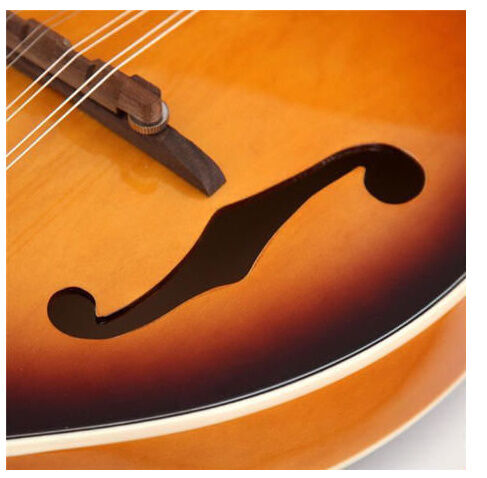 マンドリン 楽器 ローズウッド 8弦 36インチ 20フレット 特殊 | World