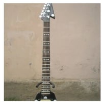 フライングV ランディローズ レプリカ ノーブランド オジー オズボーン エレキギター ギタリスト バンド コレクション アイテム
