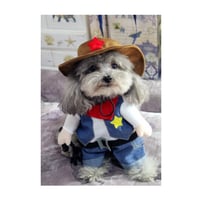 小さな犬の服 おもしろ かわいい 犬の衣装 チワワ マルチーズ ポメラニアン などの服 ウェスタン カウボーイ  コスプレ 衣装