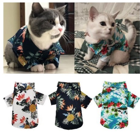猫服  アロハシャツ