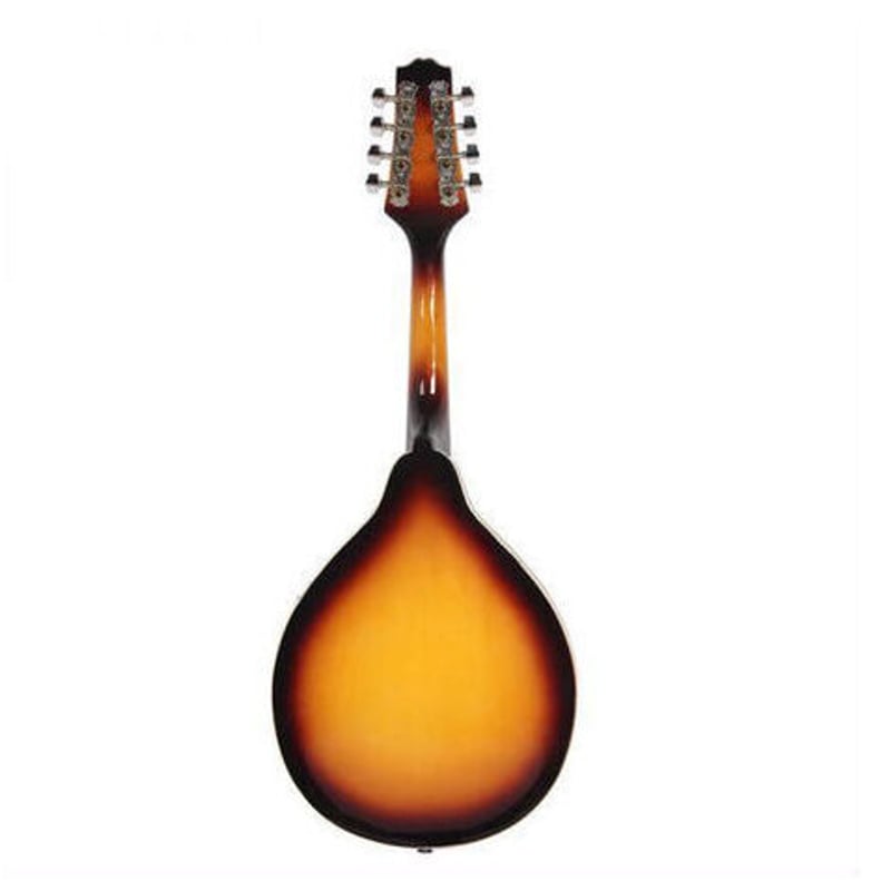 マンドリン 楽器 ローズウッド 8弦 36インチ 20フレット 特殊 | World