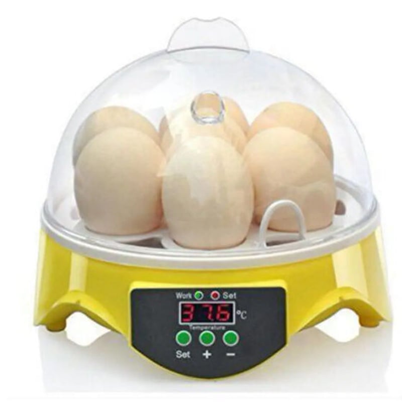 孵化器、ケージ 孵化ケージ by Rod's Random Works - Etsy 日本