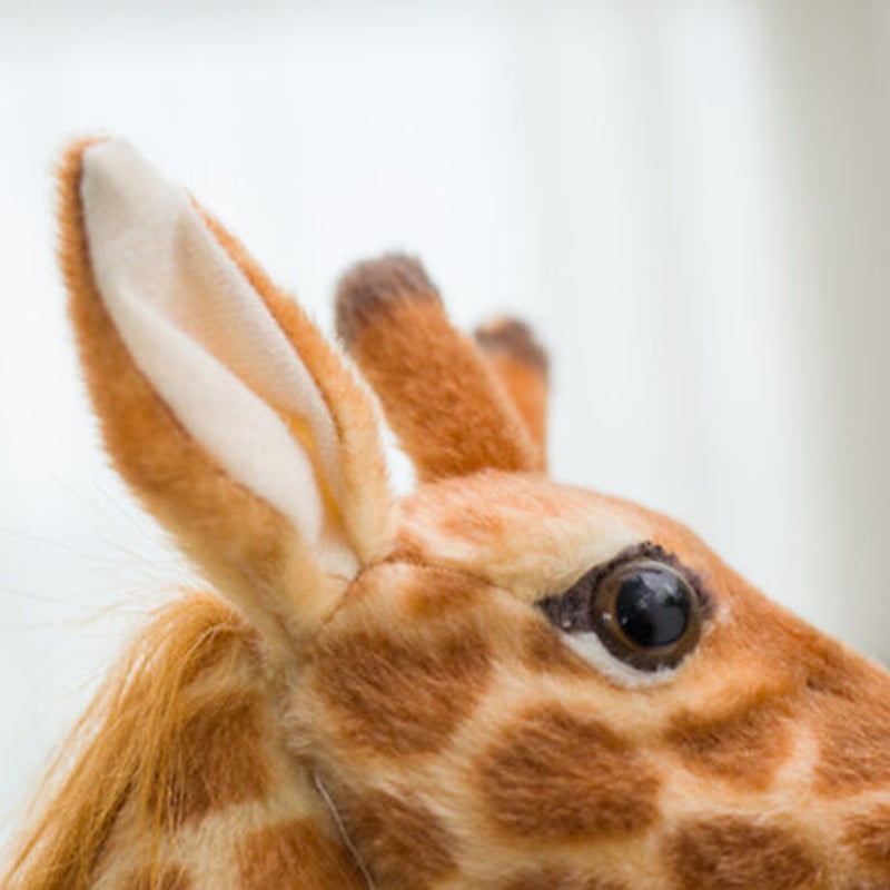 リアルキリンフィギュア 約50cm