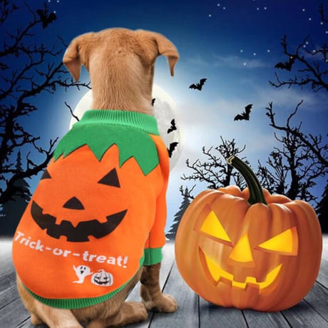 小犬用 暖かい犬の服 ハロウィーン 猫 衣装　チワワ マルチーズ ヨークシャー ペット コスプレ