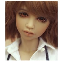 カスタムドール BJD 本体+眼球+メイクアップ済 球体関節人形 カスタムドール BJD 本体+眼球+メイクアップ済 球体関節人形