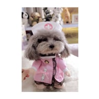 小さな犬の服 おもしろ かわいい 犬の衣装 チワワ マルチーズ ポメラニアン などの服 看護師 ナース  コスプレ 衣装