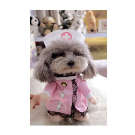 小さな犬の服 おもしろ かわいい 犬の衣装 チワワ マルチーズ ポメラニアン などの服 看護師 ナース  コスプレ 衣装
