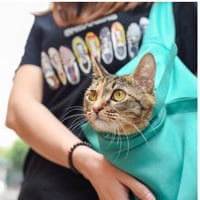 【どこでも一緒！】折りたたみ 猫 キャリーバッグ  ショルダーバッグ