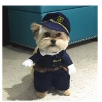 小さな犬の服 おもしろ かわいい 犬の衣装 チワワ マルチーズ ポメラニアン などの服 警察官 ポリス コスプレ 衣装
