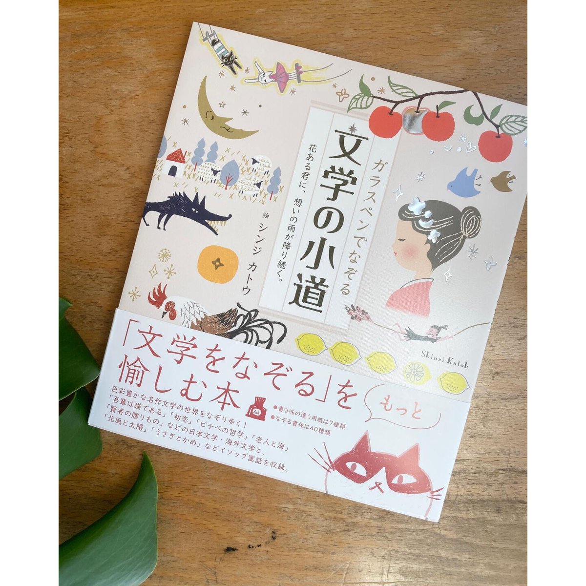 つちや書店 ガラスペンでなぞる文学の小道 | ツバキ舎